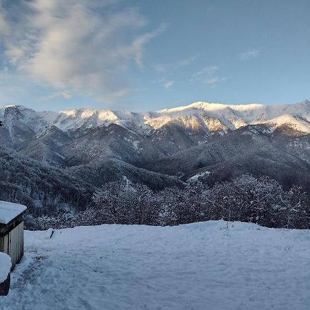 Rifugio Alpino Baudinet - Trek&Relax Bed & Breakfast Chiusa di Pesio Exterior photo