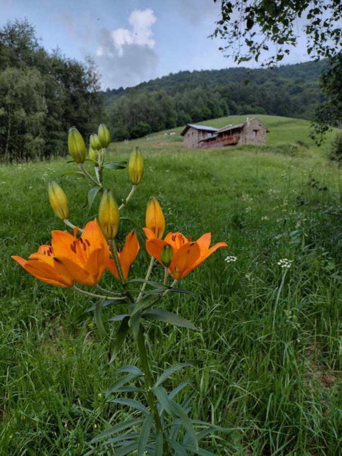 Rifugio Alpino Baudinet - Trek&Relax Bed & Breakfast Chiusa di Pesio Exterior photo