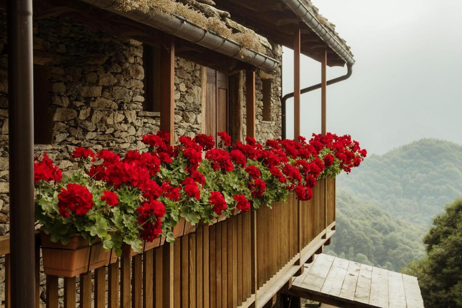 Rifugio Alpino Baudinet - Trek&Relax Bed & Breakfast Chiusa di Pesio Exterior photo
